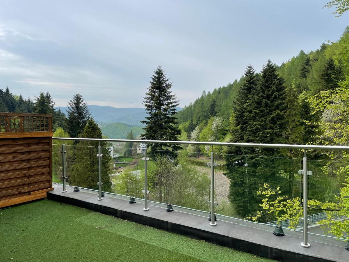 Apartament Kurort Kozubnik - Taras Nad Potokiem Porąbka Kültér fotó