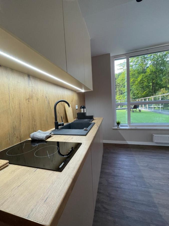Apartament Kurort Kozubnik - Taras Nad Potokiem Porąbka Kültér fotó
