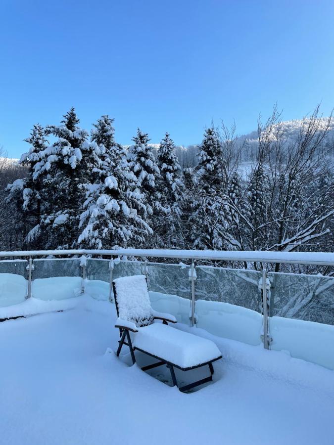 Apartament Kurort Kozubnik - Taras Nad Potokiem Porąbka Kültér fotó