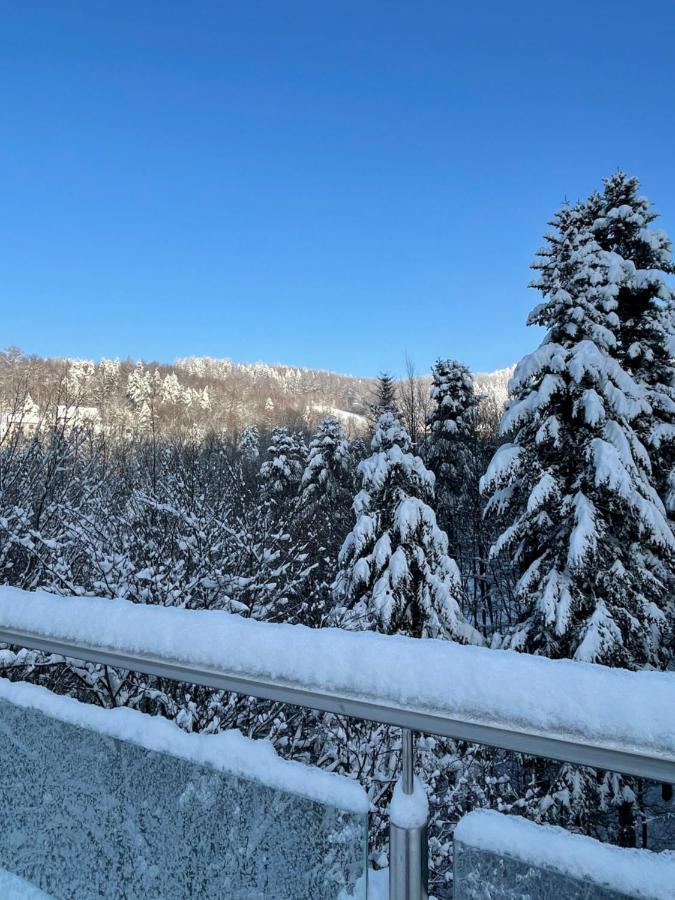 Apartament Kurort Kozubnik - Taras Nad Potokiem Porąbka Kültér fotó