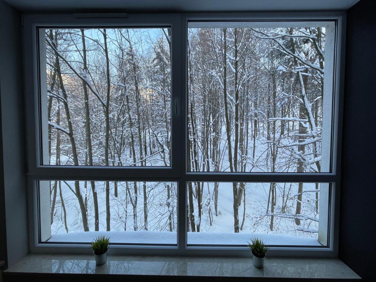 Apartament Kurort Kozubnik - Taras Nad Potokiem Porąbka Kültér fotó