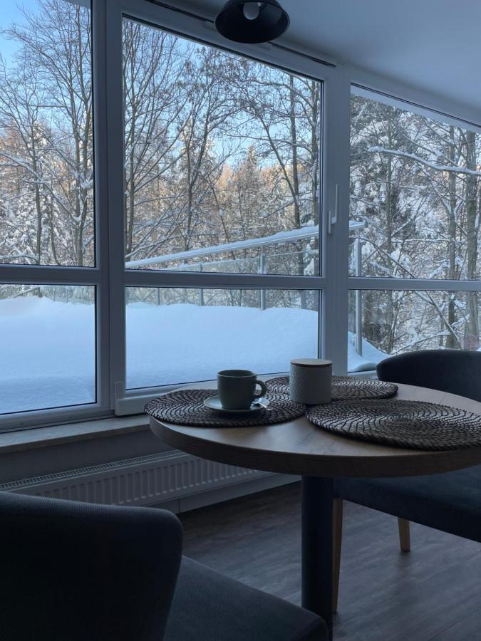 Apartament Kurort Kozubnik - Taras Nad Potokiem Porąbka Kültér fotó